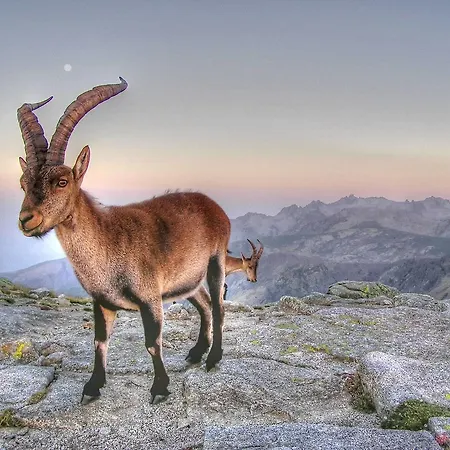 La Ermita De Los Llanos Hotel *