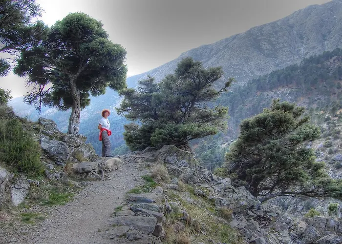La Ermita De Los Llanos 호텔