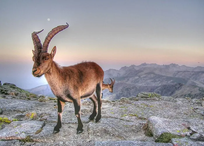 La Ermita De Los Llanos 호텔 *